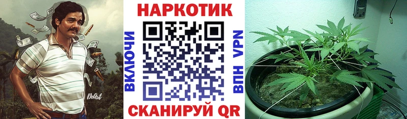 Купить наркотики сайты Мезень СК  Галлюциногенные грибы  АМФ  COCAIN  ГАШ 