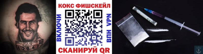 COCAIN FishScale  купить наркоту  Мезень 