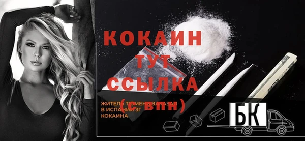 крисы Бородино