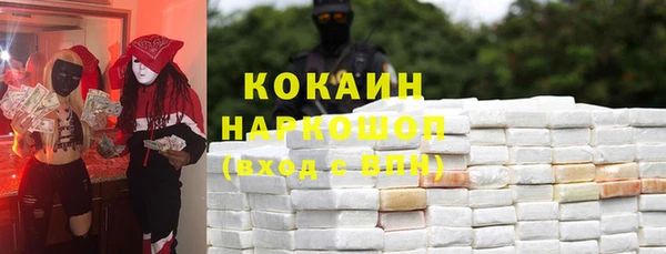 крисы Бородино