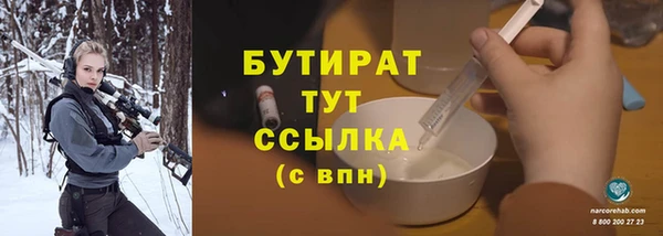 крисы Бородино