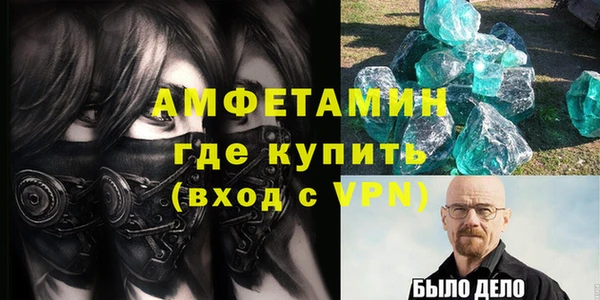 крисы Бородино