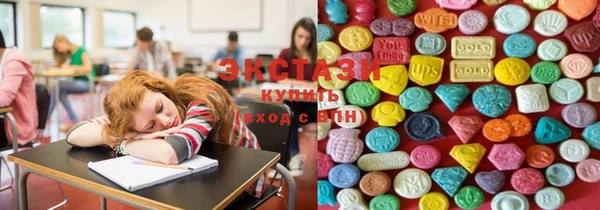 крисы Бородино