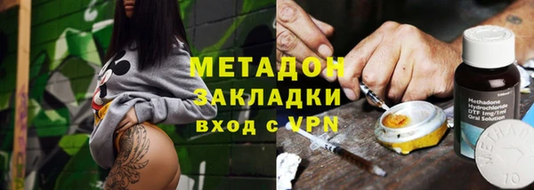 крисы Бородино